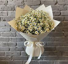 Букет цветов из:  Ромашки #REPLACE_PRED# Аксеново